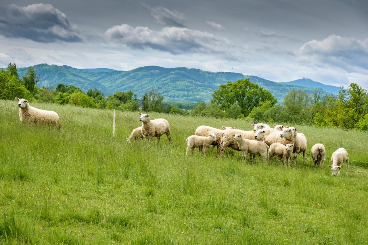 Agroturistika - "Domecek U Ovecek" Villa Horni Terlicko ภายนอก รูปภาพ