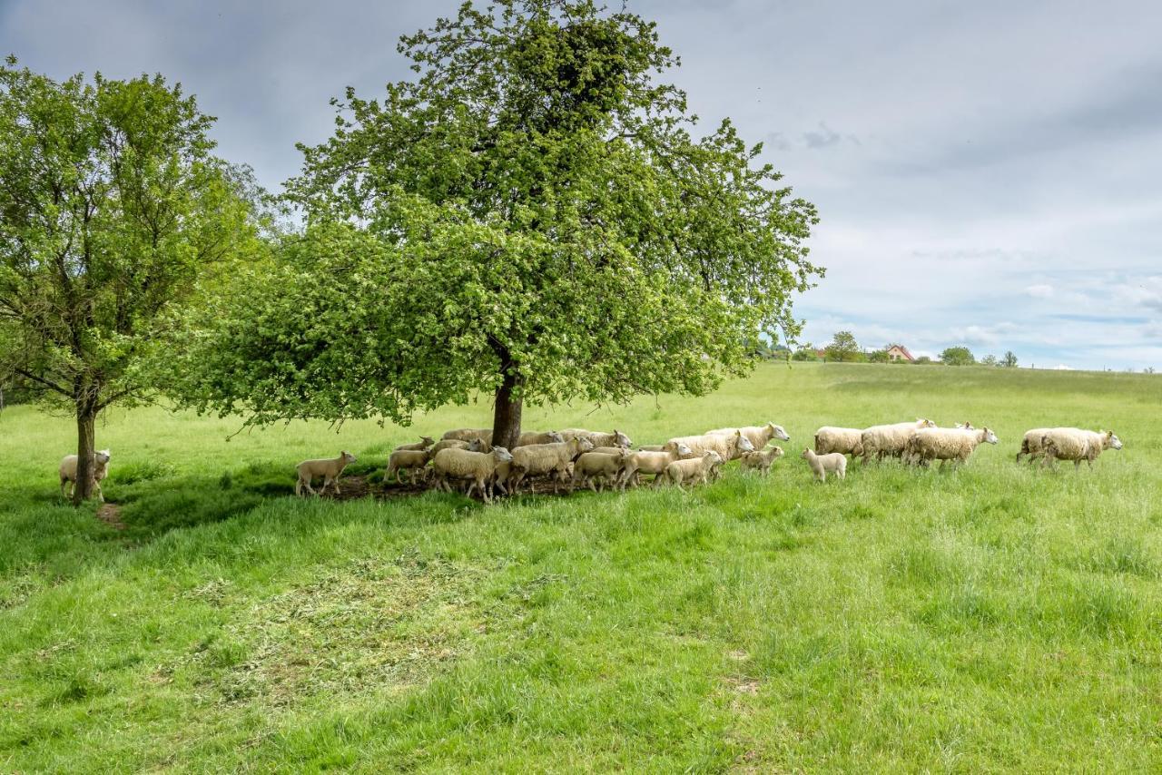 Agroturistika - "Domecek U Ovecek" Villa Horni Terlicko ภายนอก รูปภาพ