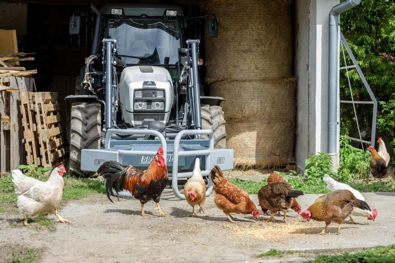 Agroturistika - "Domecek U Ovecek" Villa Horni Terlicko ภายนอก รูปภาพ